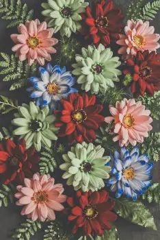 Colorful Circular Bouquet of Flowers vibrant unique shapes