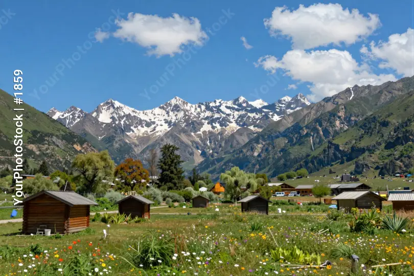 Snow-Capped Mountain Range with Colorful Wildflowers