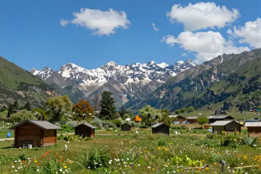 Snow-Capped Mountain Range with Colorful Wildflowers