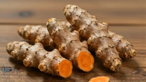 Fresh Turmeric Roots on Wooden Surface organic