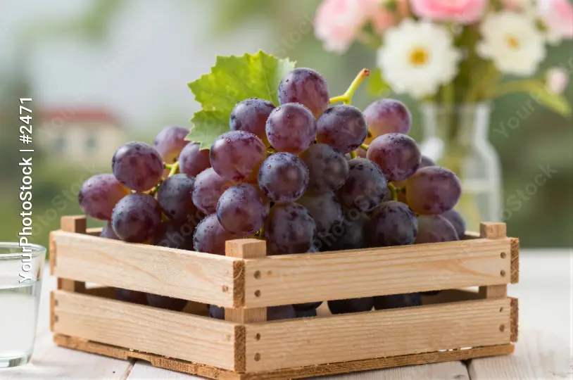Ripe Purple Grapes in Wooden Crate table water