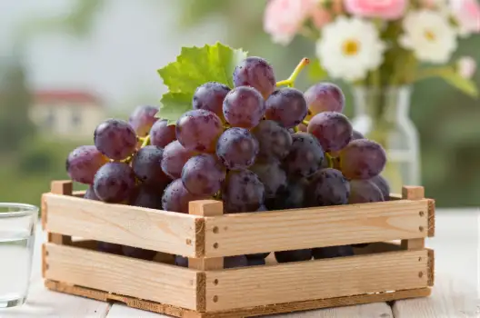 Ripe Purple Grapes in Wooden Crate table water