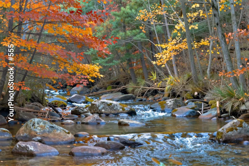 Autumn Forest River Landscape leaves fall nature