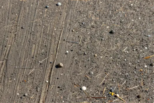 Close-up of freshly plowed dirt ground with rocks and pebbles