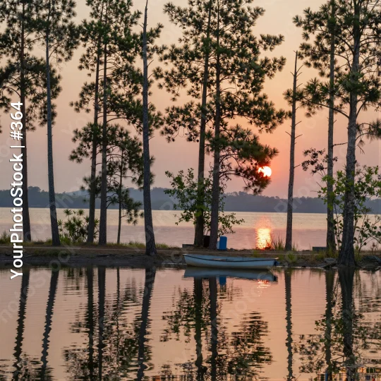 Calm Lake at Sunset pine trees serene reflection
