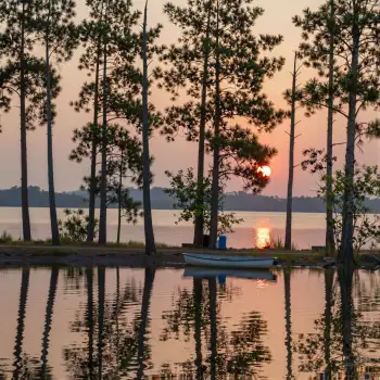Calm Lake at Sunset pine trees serene reflection