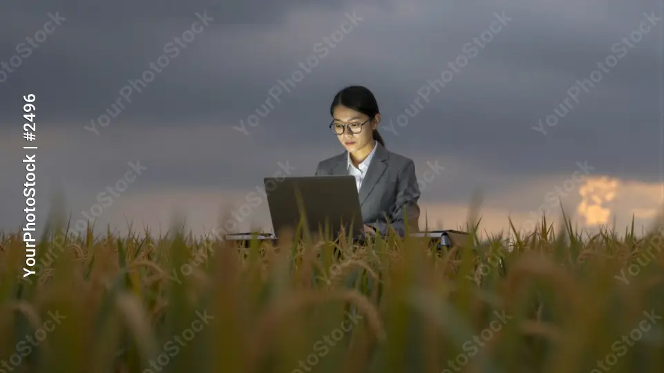 Young Woman Working in Wheat Field laptop cloudy sky