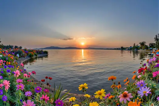 Lake at Sunset with Flower Border flowers calm