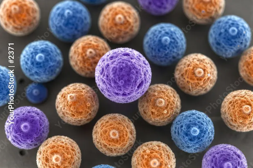 Microscopic Organisms Close-Up microorganisms