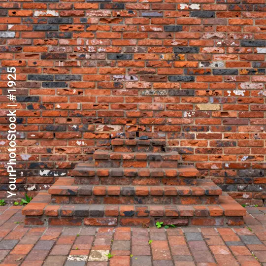 Weathered Red Brick Stairs with Green Plants red bricks