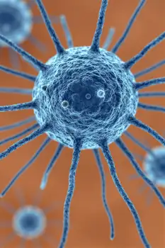 3D rendering of viral structure with interconnected lines