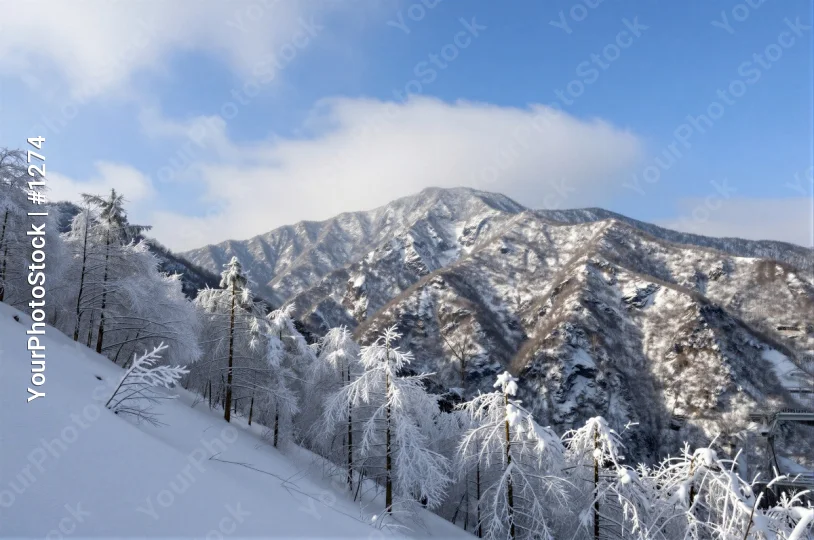 Mountain Range Winter Landscape snowy mountains