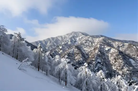 Mountain Range Winter Landscape snowy mountains
