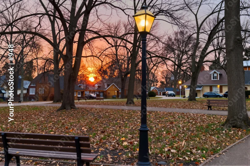 Park at Sunset with Street Lamp and Fallen Leaves