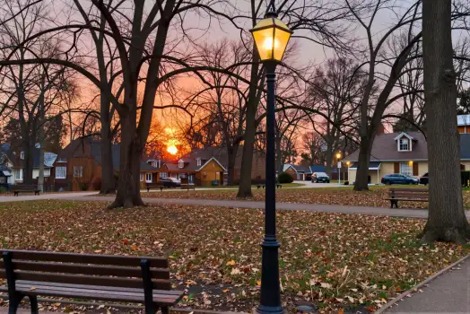 Park at Sunset with Street Lamp and Fallen Leaves