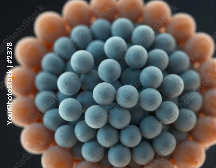 Microbiologist Examining Cells Under Microscope