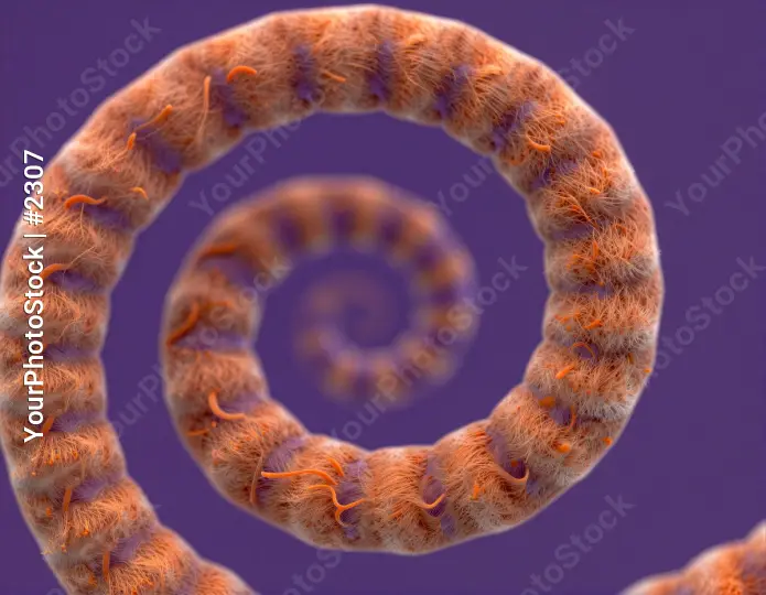 Orange and Purple Spiral Fiber Structure layers