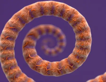 Orange and Purple Spiral Fiber Structure layers