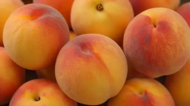 Close-Up of a Circular Arrangement of Yellow and Red Peaches