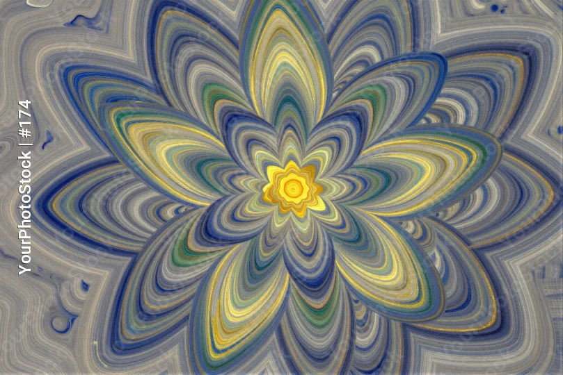 Mandala Design, Colorful Flower, Symmetrical Pattern