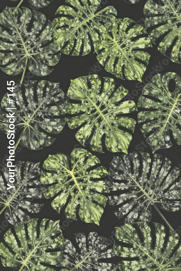 Tropical Leaf Pattern Design seamless green leaves
