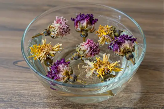 Dried Flowers Floating in Water on Wood wooden surface