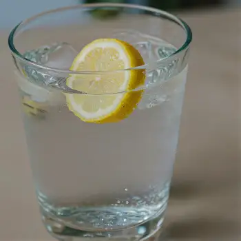Close-up of Glass Water with Lemon Slice and Ice Cubes