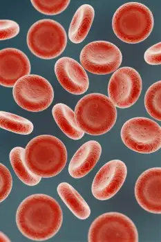 Red Blood Cells Random Pattern Dark Background