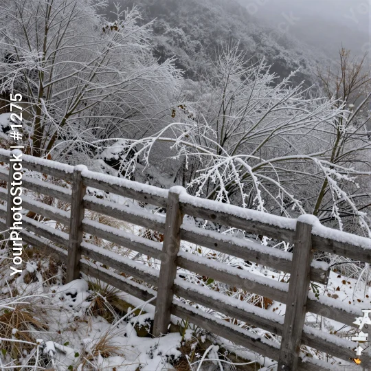 Snowy Wood Fence on Hillside wooden fence trees