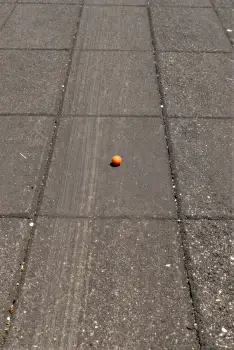 Gray Asphalt Pavement with Orange Ball tiles grid
