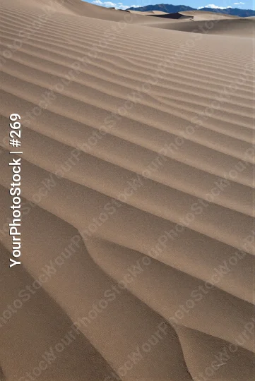 Vast Desert Landscape with Smooth Sand Waves rippled