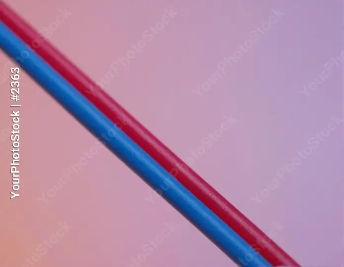 Veins Macro Photo 3D Render high resolution blood vessels
