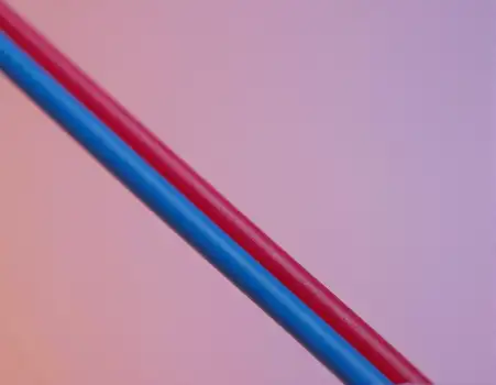 Veins Macro Photo 3D Render high resolution blood vessels