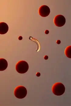 Floating Red Spheres with Worm-Like Structure