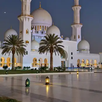 White Mosque in Park at Night domes minarets palm trees