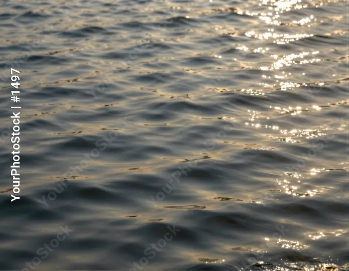 Calm Water Surface Reflecting Sunlight ripples