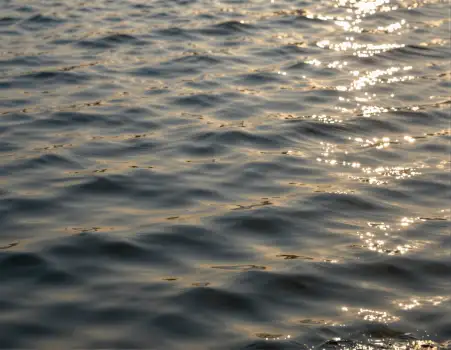 Calm Water Surface Reflecting Sunlight ripples