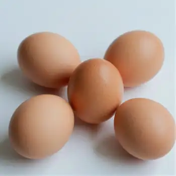 Five Fresh Light Brown Eggs on White Background