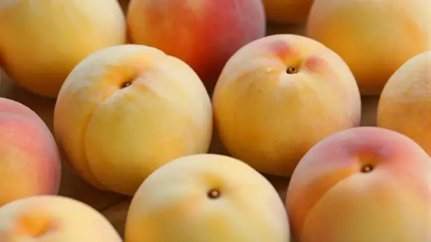 Ripe Peaches in a Pile fruit close-up arrangement