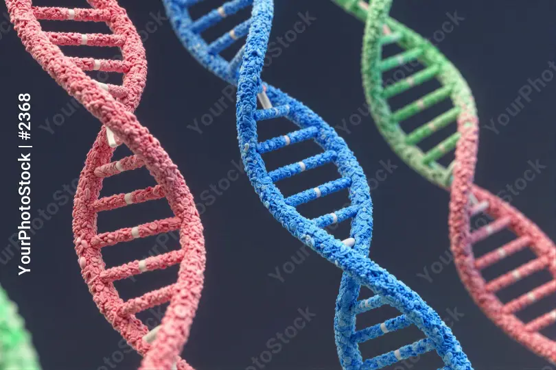 3D Rendered DNA Strands - Red, Blue, Green genetics