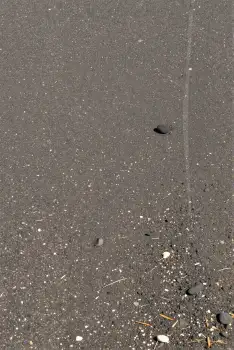Wet Asphalt Surface with Debris Close-Up construction