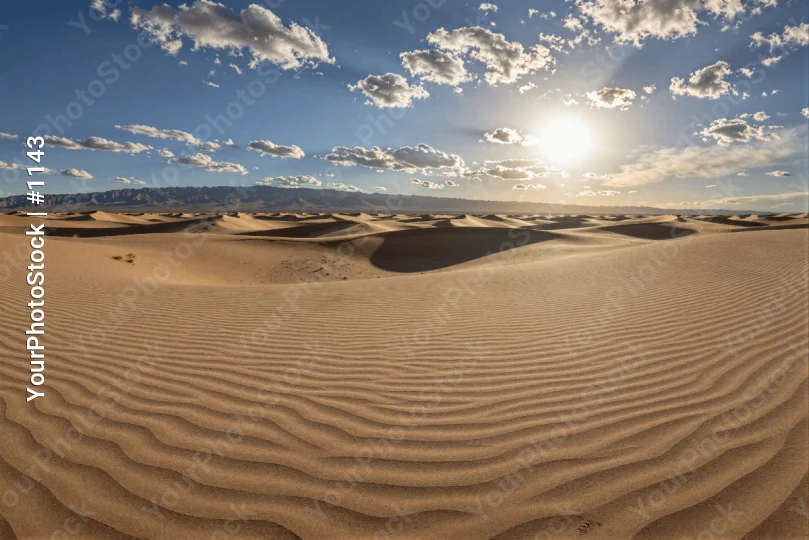 Desert Landscape with Clear Blue Sky and Sunlit Sand Dunes