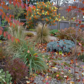 Autumn Garden with Vibrant Leaves and Tall Tree