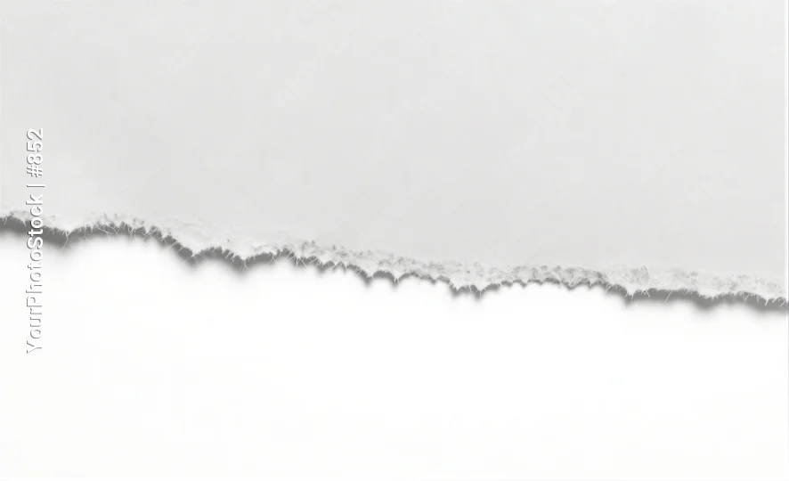 Abstract Minimalist Black and White Line Art particles