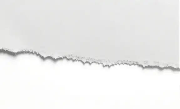 Abstract Minimalist Black and White Line Art particles