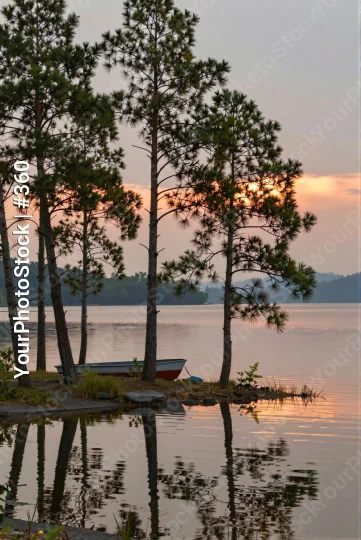 Lake at Sunset with Pine Trees and Reflections