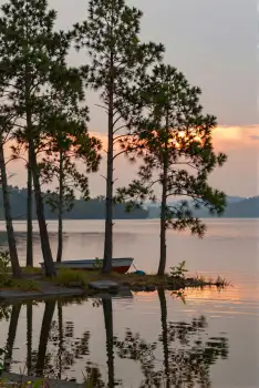 Lake at Sunset with Pine Trees and Reflections