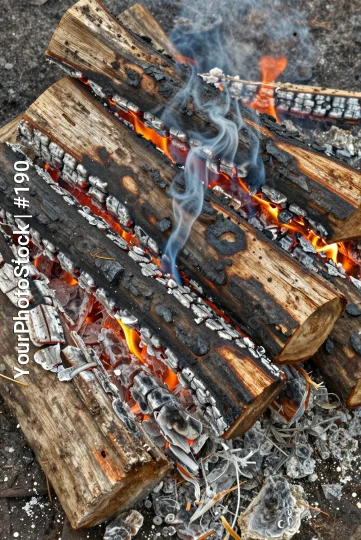 Campfire Burning Brightly With Dancing Flames