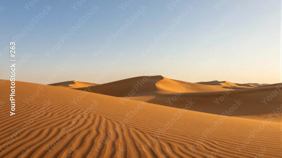 Desert Landscape at Sunset sand dunes clear sky
