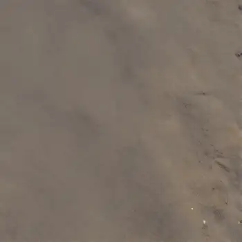 Close-up Texture of Light-Colored Surface with Irregular Objects